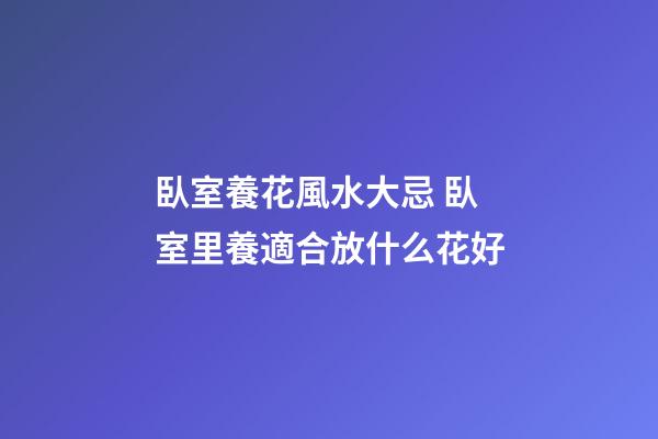 臥室養花風水大忌 臥室里養適合放什么花好